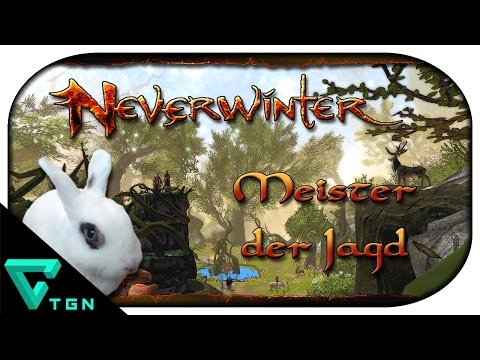 Neverwinter: Kampagnen ► Sharandar #05 - Meister der Jagd