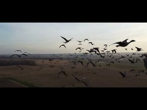 Віктор Павлік - Ти з нами Бог ! 2022 (mood video)