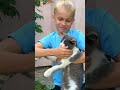 Take Care Of All Animals ️‍ Tiktok Damus Comedy