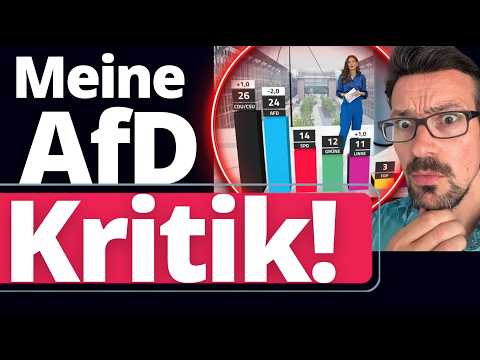 Meine Kritik an der AfD! So wird das NIX!
