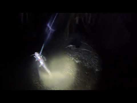 Barbudos pesca caloto cauca