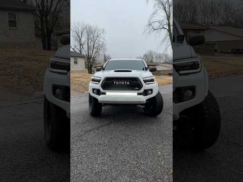 Cali raised LED light bar! #tacoma #toyota #led #fyp #mods #morimoto
