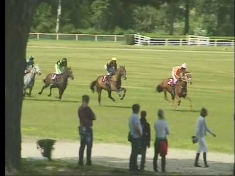 LL, 6. 7. 2016, 3. dostih - STEEPLECHASE SPOLEČNOSTI PRAGIS