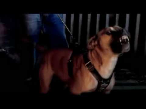 Striva ft. D-Rydah & Shokz - Dark From Day (OFFICIAL VIDEO)