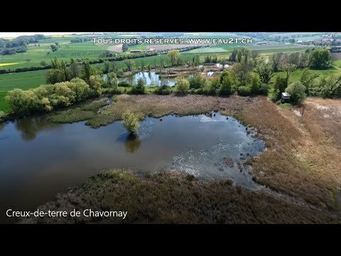 Creux de terre de Chavornay
