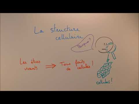 Cell Structure 0 - Introduction