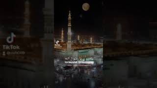 Download lagu Story WA. Sholawat Ya sayidi ya rasulallah mp3
