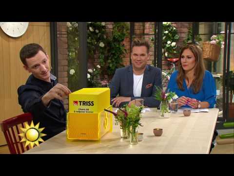 Kattälskade Richard Ovesen skrapar triss - Nyhetsmorgon (TV4)