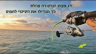 דג פצוע יתקוף? ברקודה פוזלת - כך תגדילו את הסיכוי לתפוס 🎣 והמלצה לערוץ שווה 💥