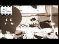 Porky Pig Porky S Garden Looney Tunes Kids Cartoons Cartoons For Kids HD In Stereo