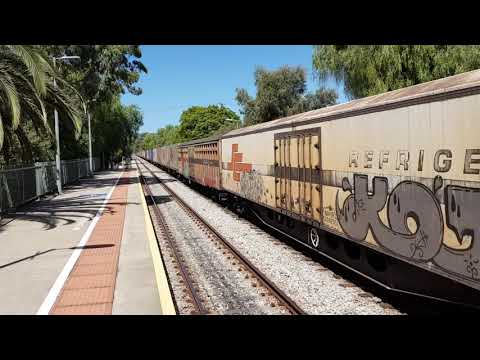 SCT Freight Train at Millswood Railyway Station