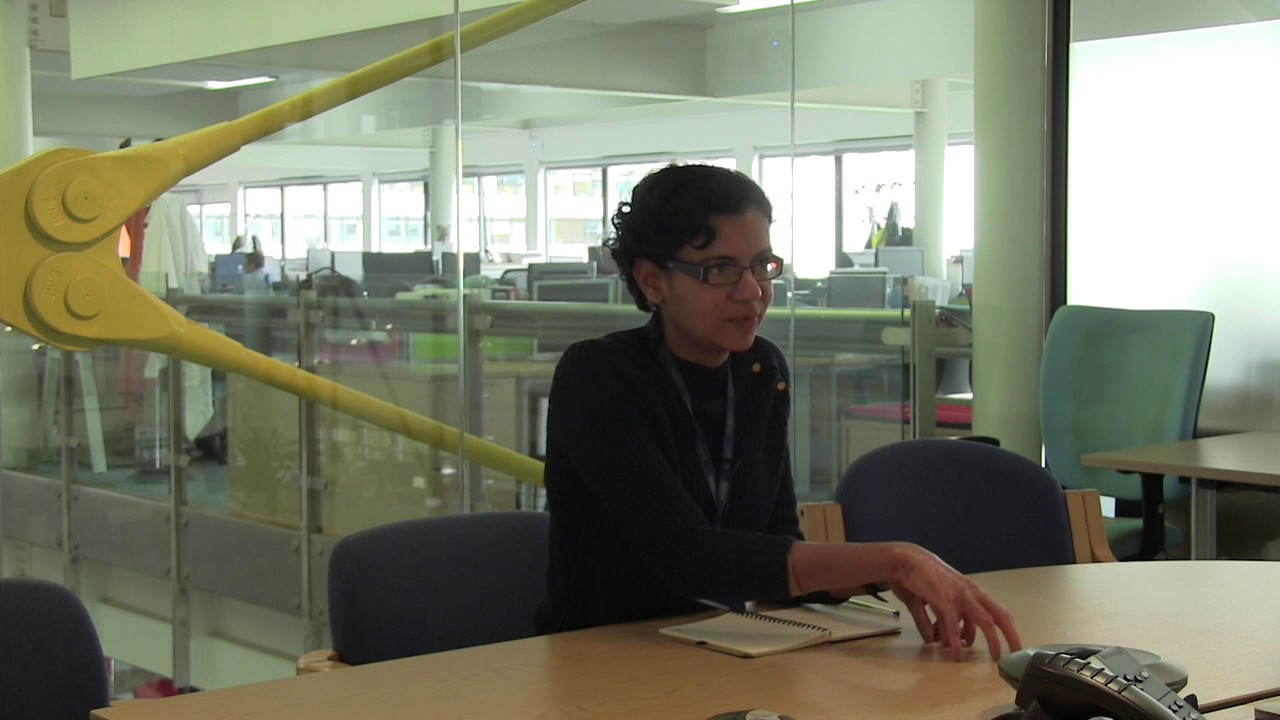 Harita Joshi: Interdisciplinarity in Engineering