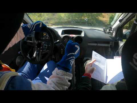 SS3 Župa 1 - Lazar Milovanović/Dejan Golić (53. Serbia Rally 2020) C2 R2