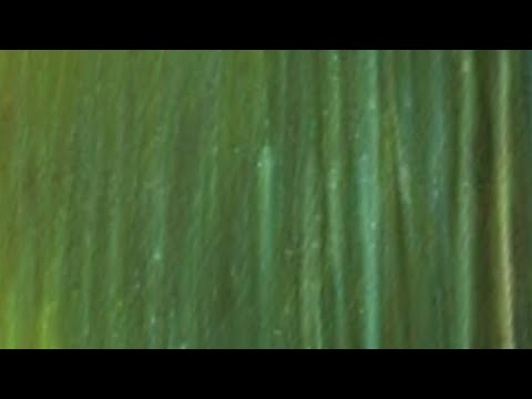 The Proof - A Song By KJR