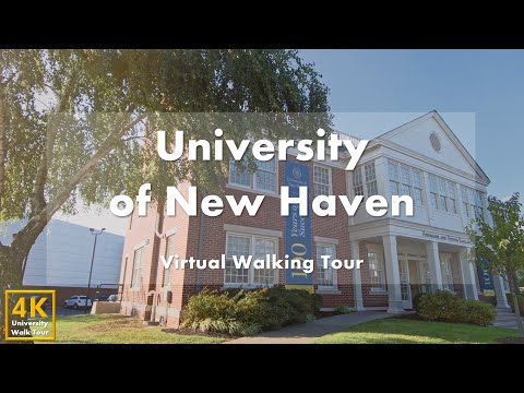 University of New Haven - Virtual Walking Tour [4k 60fps]