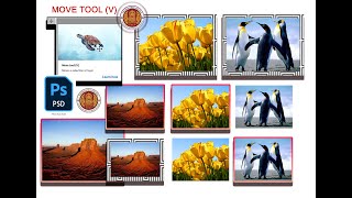 Photoshop แนะนำเครื่องมือ Move Tool (V) A4 #ง่ายๆแค่ปลายนิ้วคุณ #เรียนดีมีความสุข