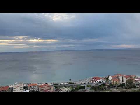 Hay que Arrimar el Alma - cover - Cetraro