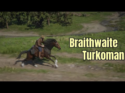 Getting the Braithwaite Turkoman in Chapter 3 via the 'Stable Window Method' : Red Dead Redemption 2
