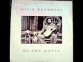 David Bromberg - Chump Man Blues