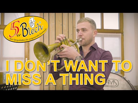 I don't want to miss a Thing | 5er Blech | Cover