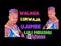 WALAGA LUKWAJA UJUMBE WA LULI 2026