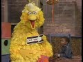 Classic Sesame Street Big Bird And Scottie ONE WAY