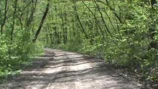 A 7-a evadare - Capitolul 6: Putin din Rezervatia Comana