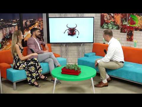 Instrumentele muzicale sub mâna lui Ion Condrea | ETAJUL 9