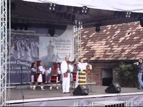 Fisculas Dumbravita - 2011