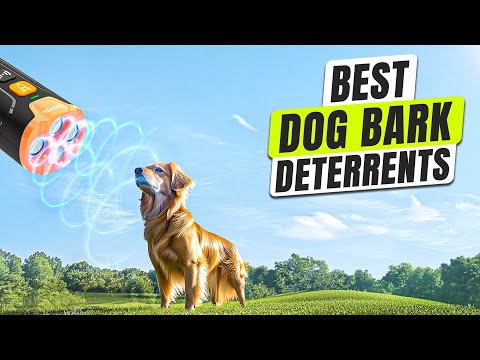 3 BEST Dog Bark Deterrent That STOP Barking FAST!