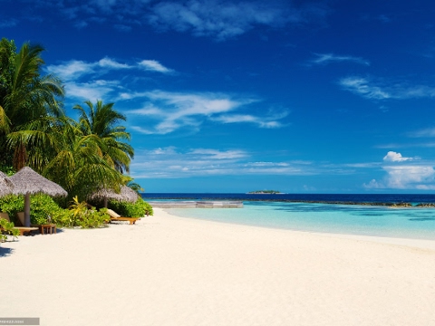 Catalin Stefan Live Stream