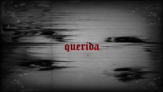 Cover art for querida
