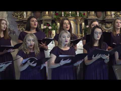 Zbor mladih Vedrina - K nebu leti