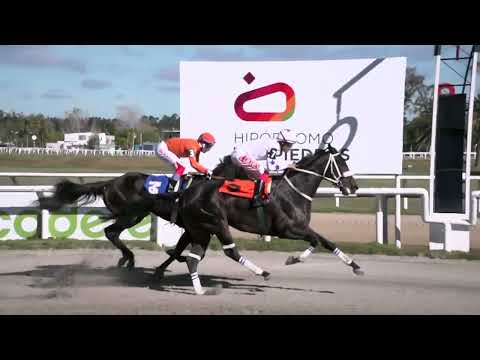 230518 c09 - MIRACLE (BRZ) - HIPODROMO LAS PIEDRAS