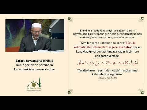 Zararlı Hayvanlardan Korunma Duası