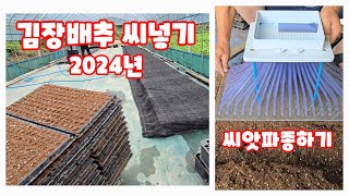배추 씨넣기 가을배추 김장배추 씨앗파종하기 태산실업 (배추재배방법)