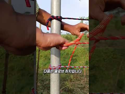 다양한 매듭법