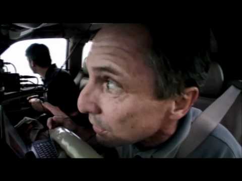 Tornado-Alarm! - Bärenkäfig