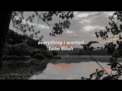 everything i wanted - billie eilish ( lyrics + sped up )