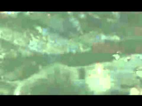 ONDA TG 3.10.2013 - ARCHIVIO DI STATO SULMONA: GIORNATA RICORDO VAJONT