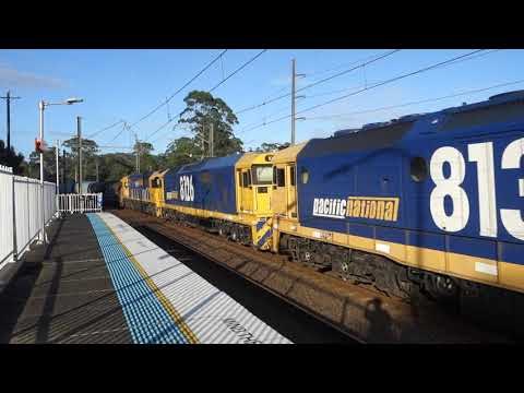 8211 / 8138 / 8126 / 8225 with PN empty grain 9339 - 10/3/22