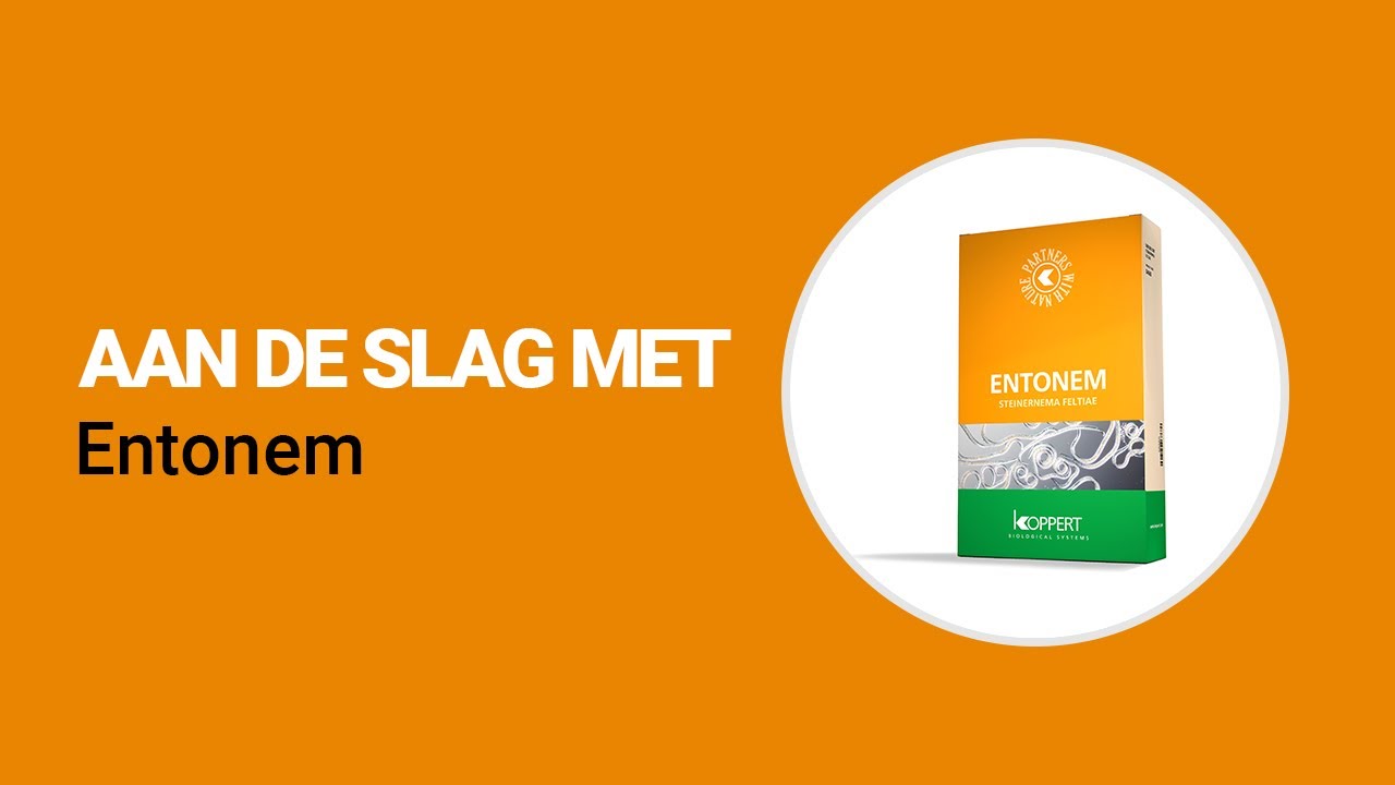 Video preview poster