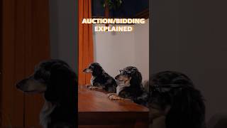 Auction/Bidding Games Explained…By Dogs