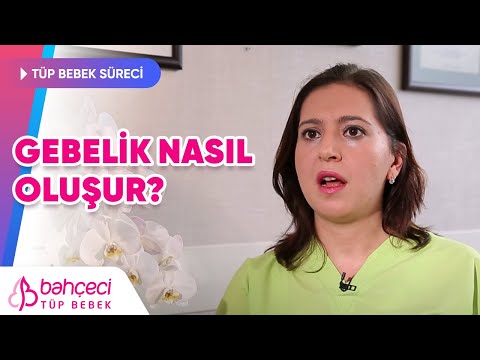 Gebelik Nasıl Oluşur?