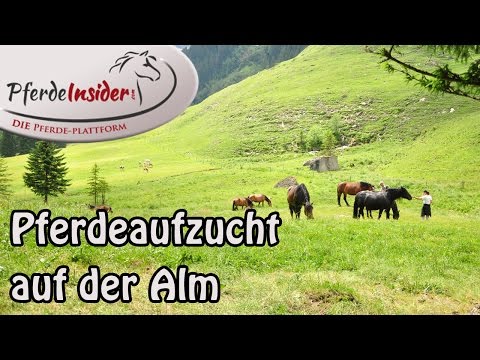 Aufpumpen Muskeln mit Osteochondrose Warum Rückenschmerzen um 22 Wochen der Schwangerschaft