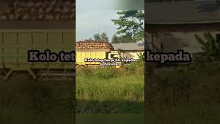 Download lagu story w.a wejangan Bagong dalang almr.ki Seno ‼️giri Lusi jalmo Tan keno kiniro mp3