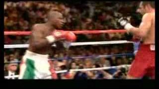 Money Mayweather clips