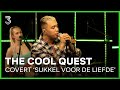 The Cool Quest doet Engelse versie van 'Sukkel Voor De Liefde' | 3FM Live Box | NPO 3FM
