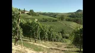 Massolino - Serralunga d'Alba - ENG