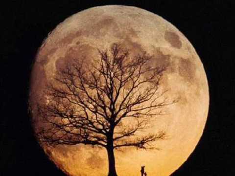 Duffy - Stepping Stone (Dom Navarra Remix)